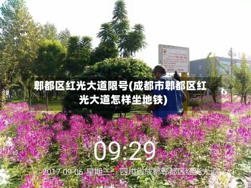 郫都区红光大道限号(成都市郫都区红光大道怎样坐地铁)