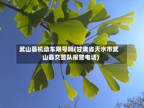 武山县机动车限号吗(甘肃省天水市武山县交警队报警电话)
