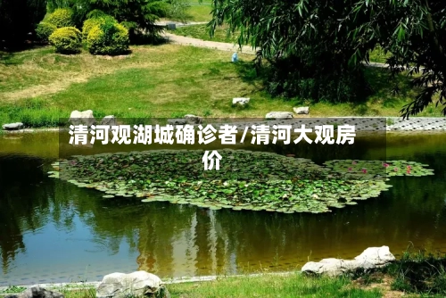 清河观湖城确诊者/清河大观房价