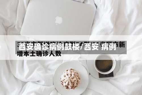 西安确诊病例鼓楼/西安 病例