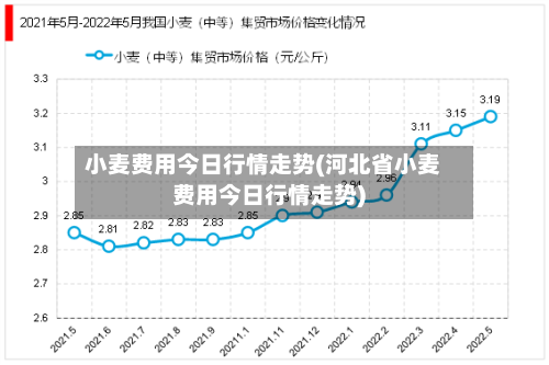 小麦费用今日行情走势(河北省小麦费用今日行情走势)