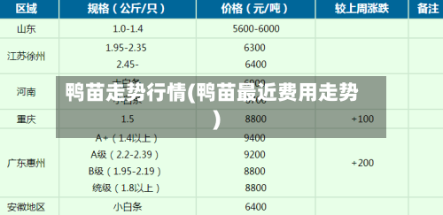 鸭苗走势行情(鸭苗最近费用走势)