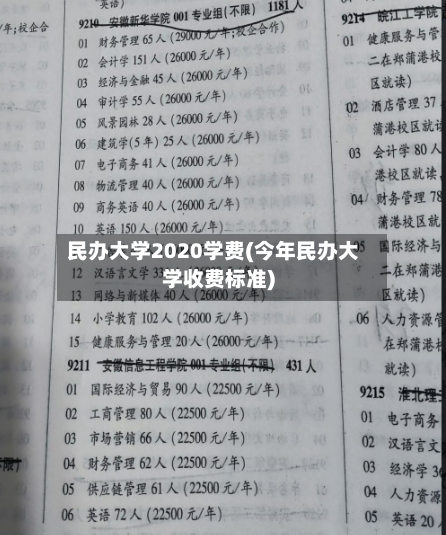 民办大学2020学费(今年民办大学收费标准)