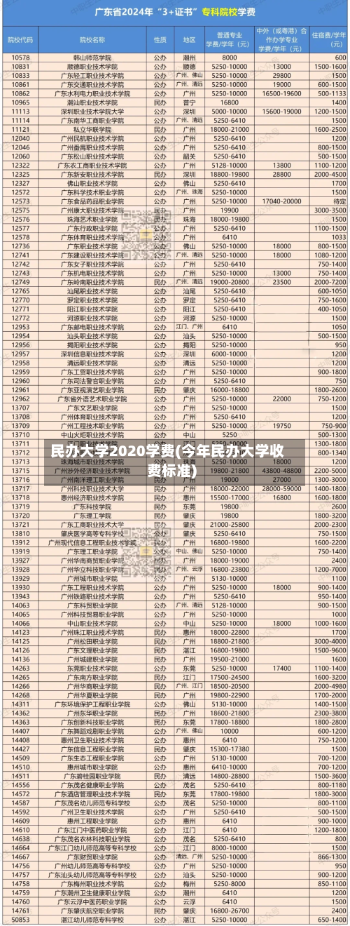 民办大学2020学费(今年民办大学收费标准)