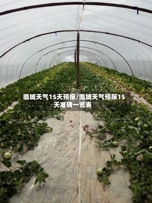 临城天气15天预报/临城天气预报15天准确一览表