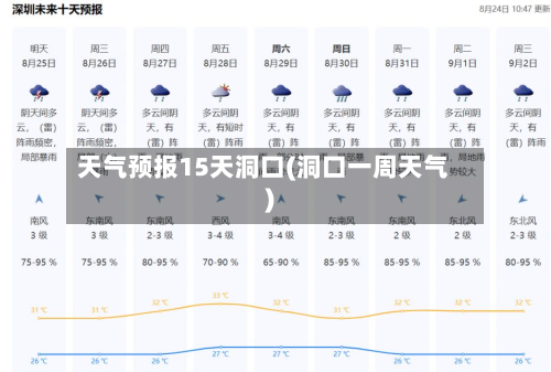 天气预报15天洞口(洞口一周天气)