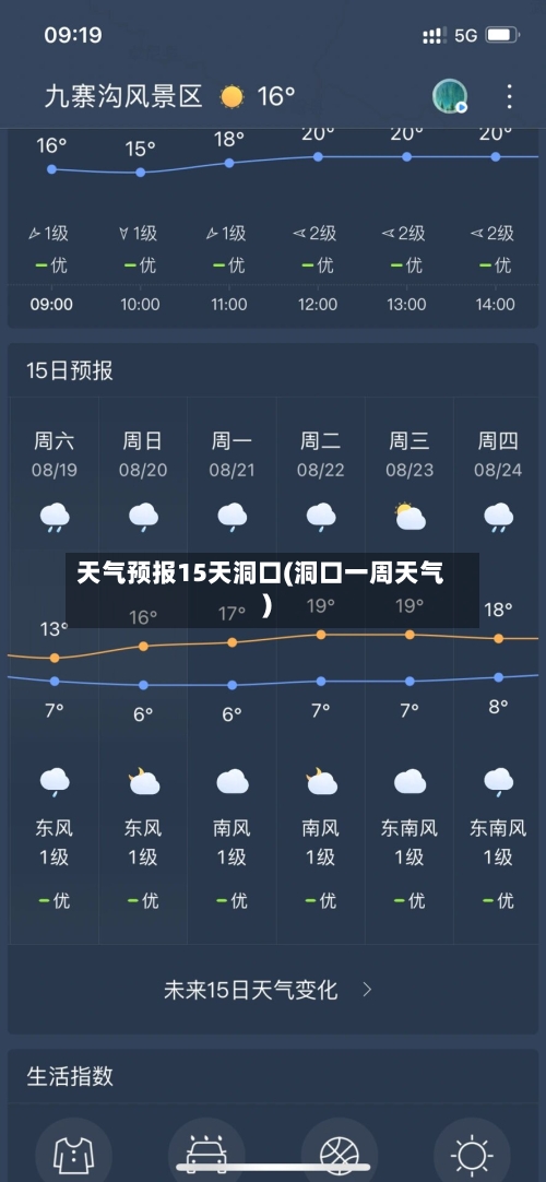 天气预报15天洞口(洞口一周天气)