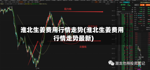 淮北生姜费用行情走势(淮北生姜费用行情走势最新)