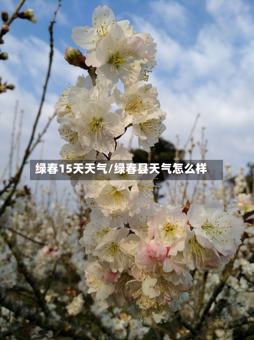 绿春15天天气/绿春县天气怎么样