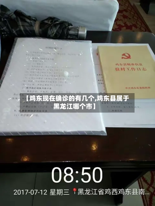 【鸡东现在确诊的有几个,鸡东县属于黑龙江哪个市】
