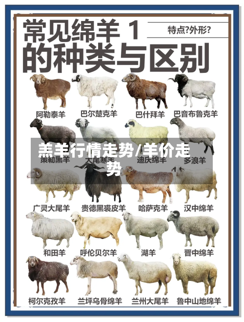 羔羊行情走势/羊价走势