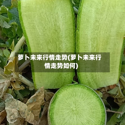 萝卜未来行情走势(萝卜未来行情走势如何)
