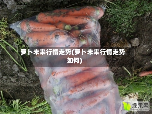 萝卜未来行情走势(萝卜未来行情走势如何)