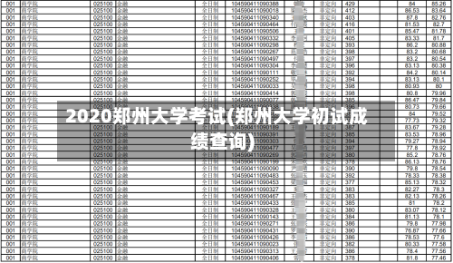 2020郑州大学考试(郑州大学初试成绩查询)