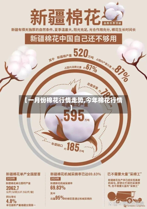 【一月份棉花行情走势,今年棉花行情】