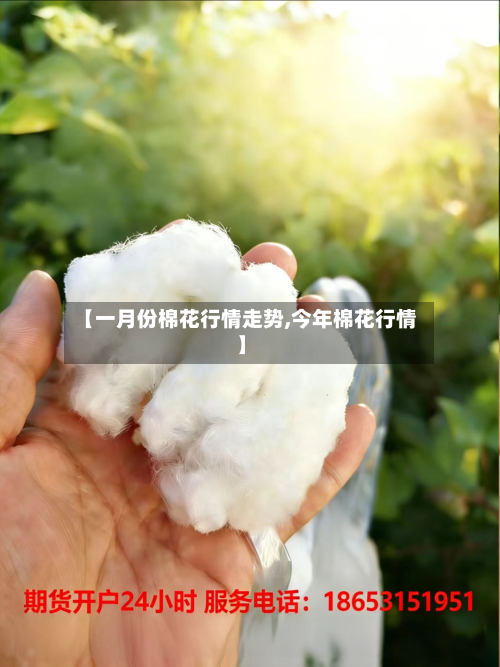 【一月份棉花行情走势,今年棉花行情】