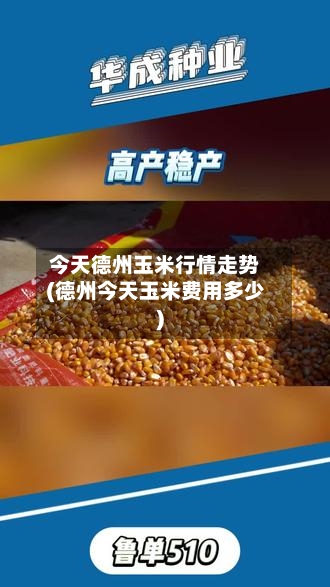 今天德州玉米行情走势(德州今天玉米费用多少)