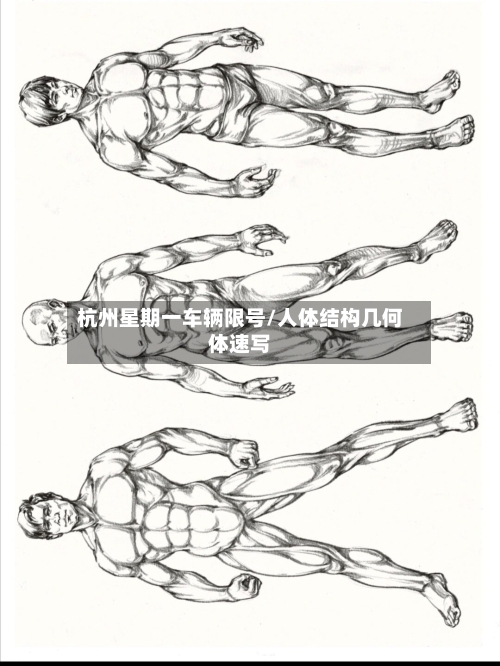 杭州星期一车辆限号/人体结构几何体速写