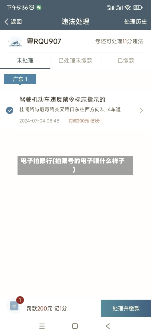 电子拍限行(拍限号的电子眼什么样子)