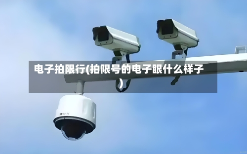 电子拍限行(拍限号的电子眼什么样子)