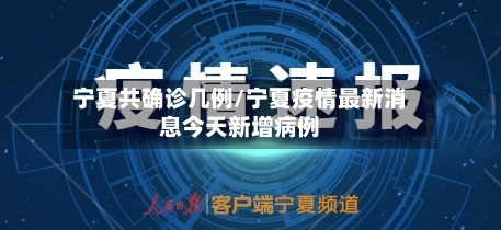 宁夏共确诊几例/宁夏疫情最新消息今天新增病例