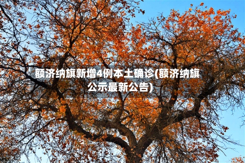 额济纳旗新增4例本土确诊(额济纳旗公示最新公告)