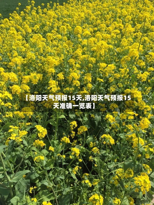 【洛阳天气预报15天,洛阳天气预报15天准确一览表】