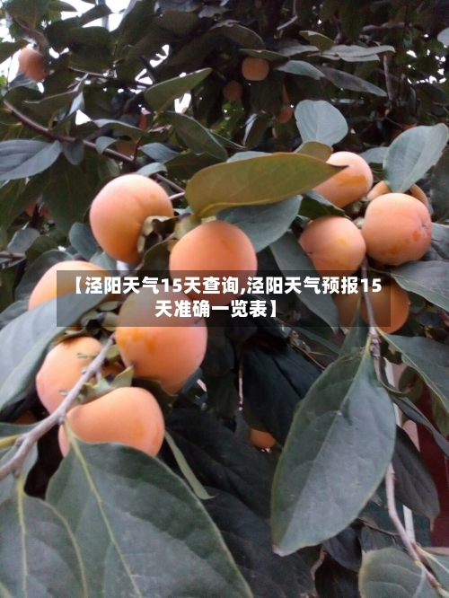 【泾阳天气15天查询,泾阳天气预报15天准确一览表】
