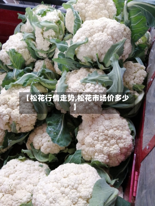 【松花行情走势,松花市场价多少】