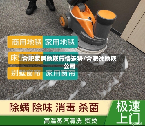 合肥家居地毯行情走势/合肥洗地毯公司