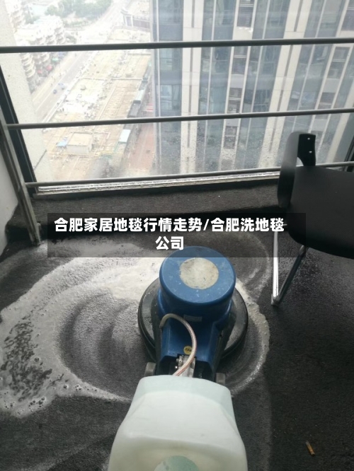 合肥家居地毯行情走势/合肥洗地毯公司