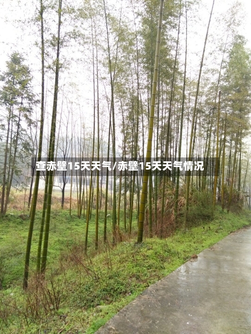 查赤壁15天天气/赤壁15天天气情况
