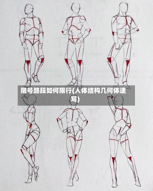 限号路段如何限行(人体结构几何体速写)