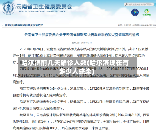 哈尔滨前几天确诊人数(哈尔滨现在有多少人感染)