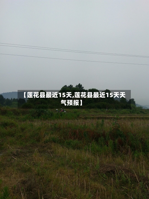 【莲花县最近15天,莲花县最近15天天气预报】