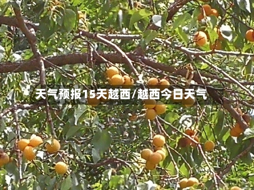 天气预报15天越西/越西今日天气