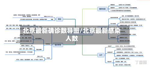 北京最新确诊数导图/北京最新感染人数