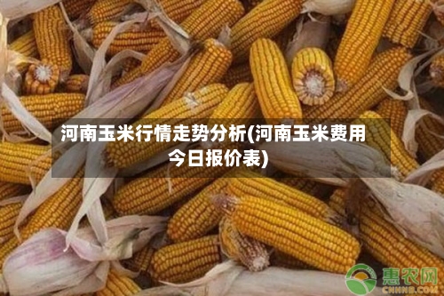 河南玉米行情走势分析(河南玉米费用今日报价表)