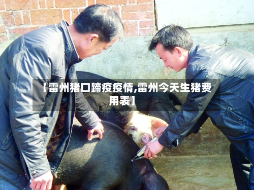 【雷州猪口蹄疫疫情,雷州今天生猪费用表】