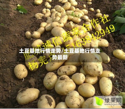 土豆基地行情走势/土豆基地行情走势最新