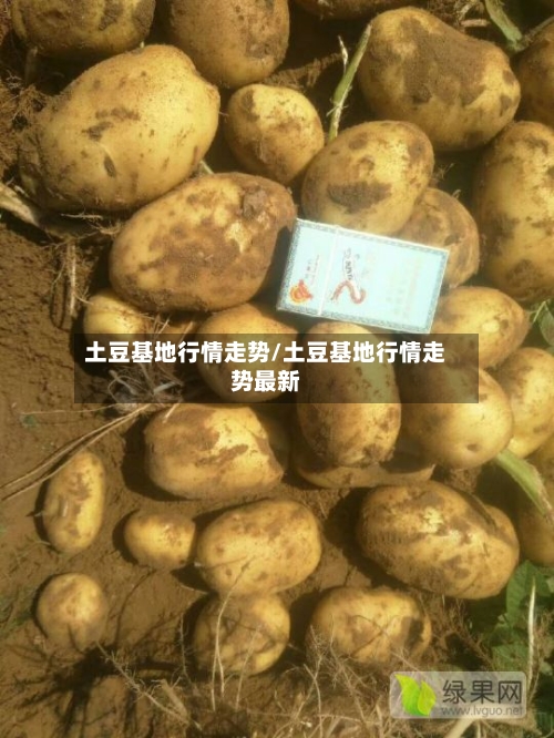 土豆基地行情走势/土豆基地行情走势最新