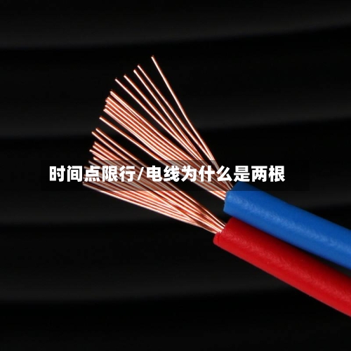 时间点限行/电线为什么是两根