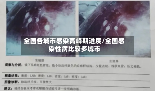 全国各城市感染高峰期进度/全国感染性病比较多城市