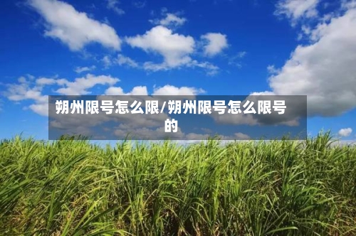 朔州限号怎么限/朔州限号怎么限号的