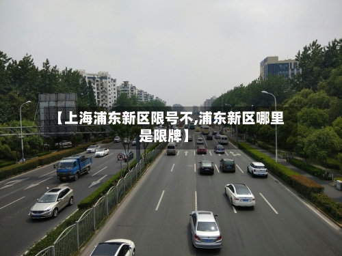 【上海浦东新区限号不,浦东新区哪里是限牌】