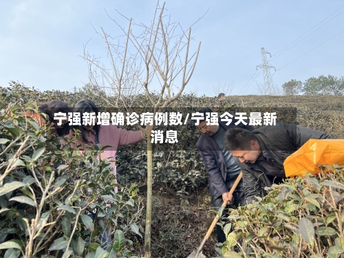 宁强新增确诊病例数/宁强今天最新消息