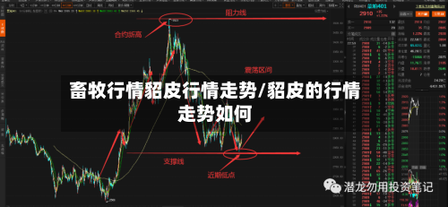 畜牧行情貂皮行情走势/貂皮的行情走势如何