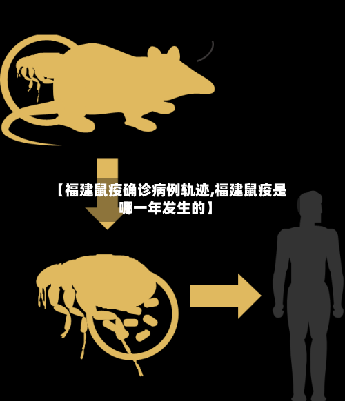 【福建鼠疫确诊病例轨迹,福建鼠疫是哪一年发生的】