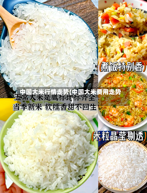 中国大米行情走势(中国大米费用走势)