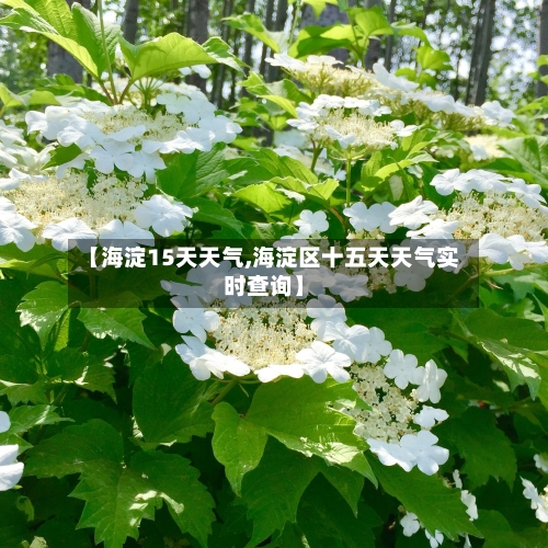 【海淀15天天气,海淀区十五天天气实时查询】